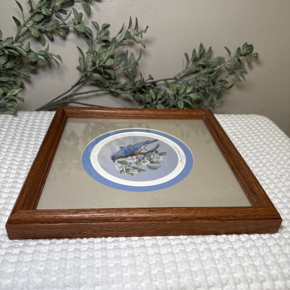 Don Breyfogle Eastern Bluebird Framed Wildlife Print 1988 9.6” x 9.4” Vintage - Picture 7 of 12